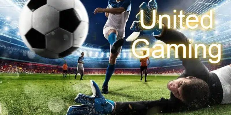 United Gaming Luck8 sở hữu lượng người chơi cực lớn